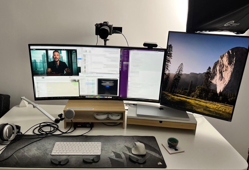 Monitor LG Dualup