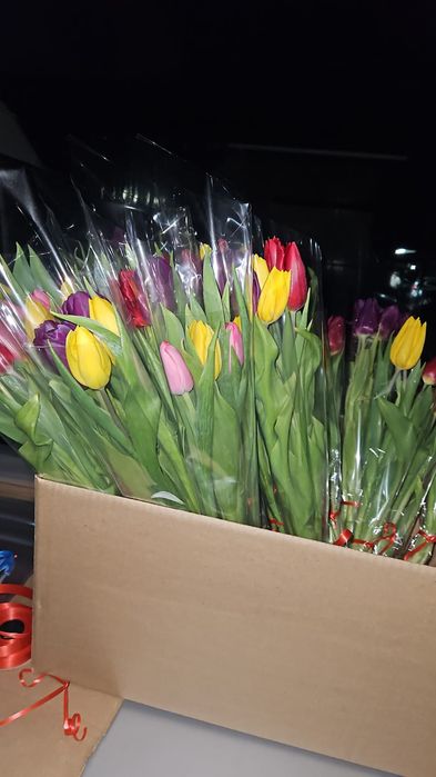 Луковицы  тюльпанов  в  наличии