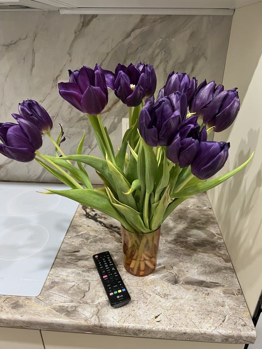 Тюльпаны без упаковки, 15 штук