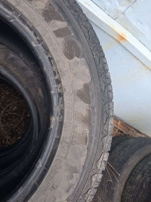 Продам ризину летнию