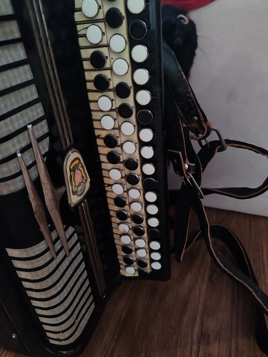 Баян продам срочно