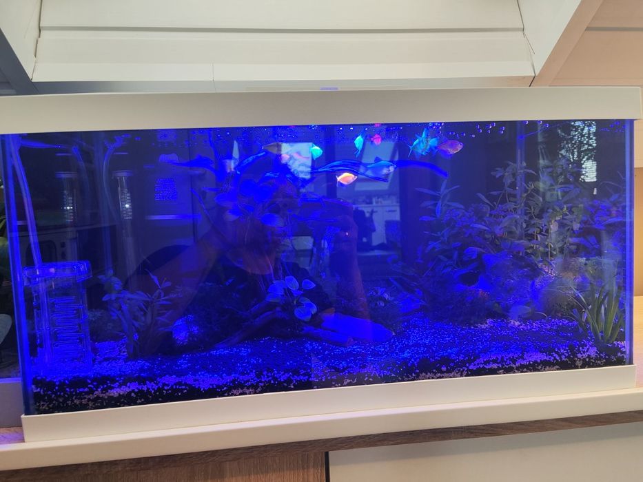 Аквариум 54литра