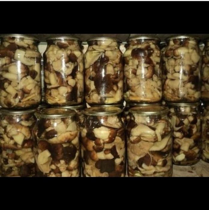 Грибы-валуи,грузди