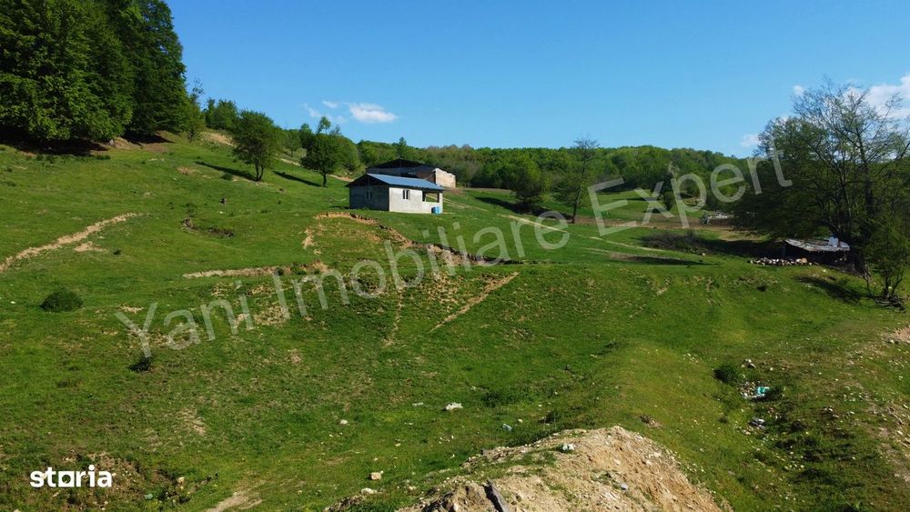 Teren cu stană de vânzare în apropiere de Curtea de Argeș.