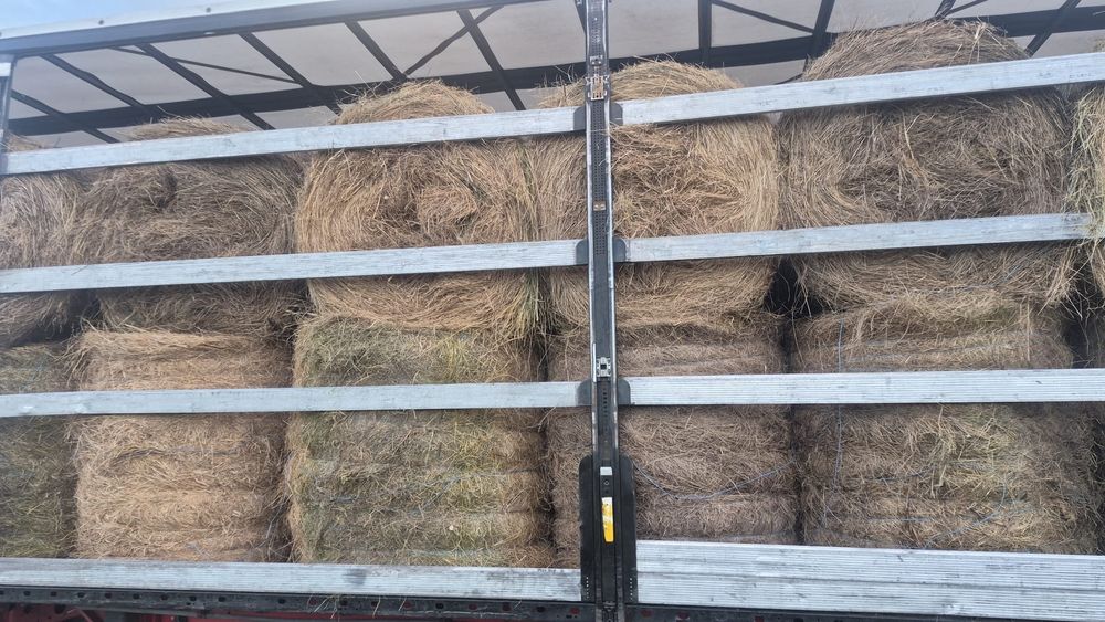 Livram baloti fan sau Lucerna La TIR  Rotunzi 1,2 m x 1,2 m min 40 Dreptunghiulari min.500 Transport inclus