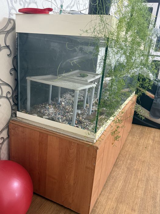 Продается  аквариум 600 литров, .