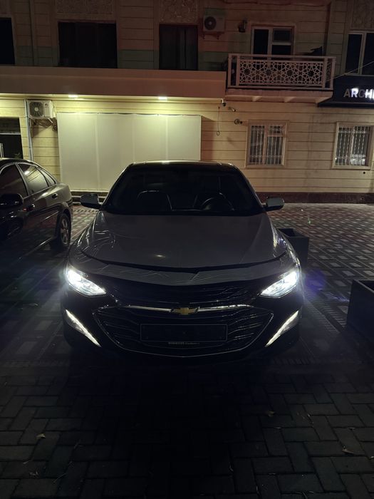 Malibu premier tozza