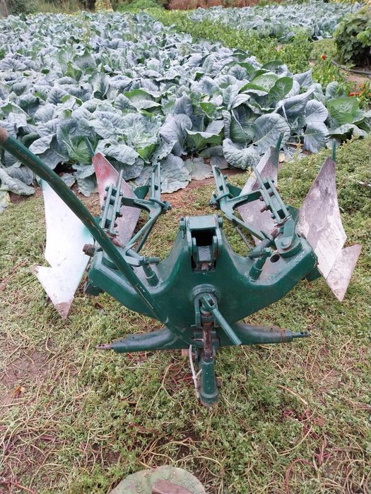 Plug reversibil 2 brazde