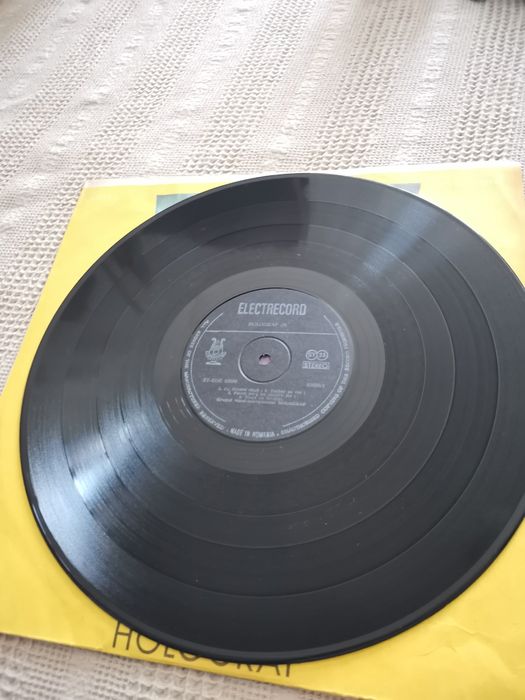 Vinil Holograf/ Iris/ Celelalte cuvinte