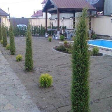 Автополив и Газон