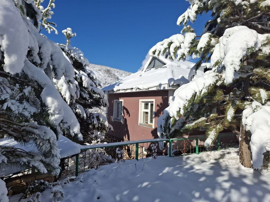 Дача природа в Чимгане