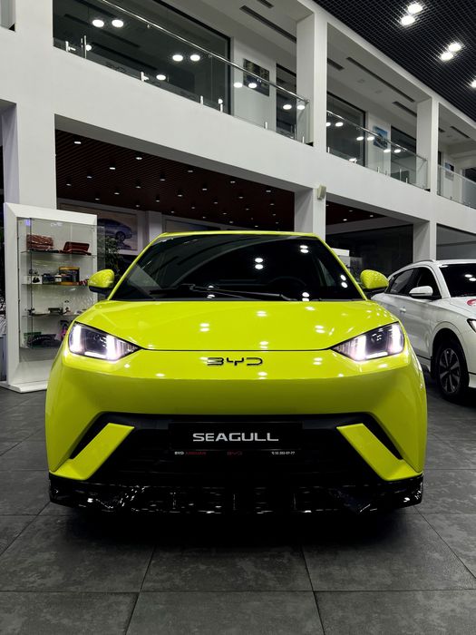 BYD Seagull EV.