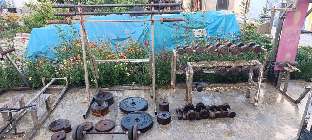 Tayyor sport zall
