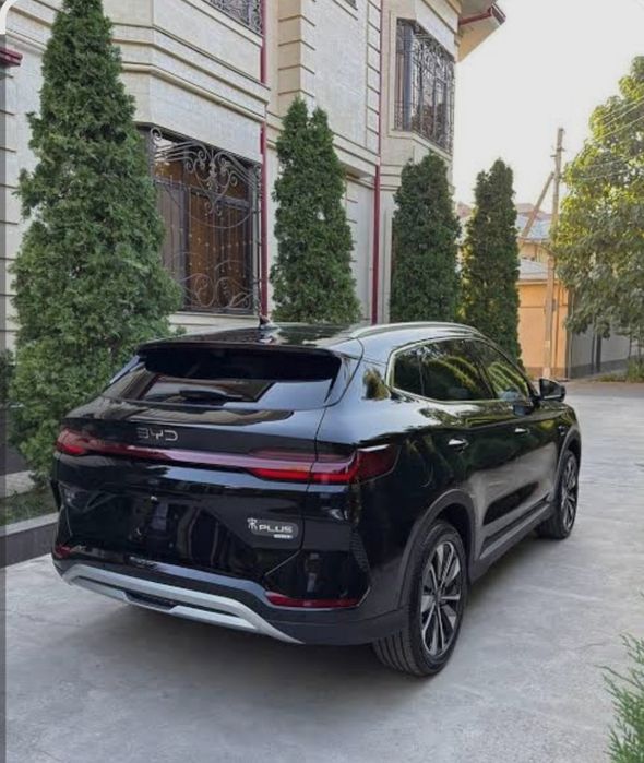 Byd chempion smart