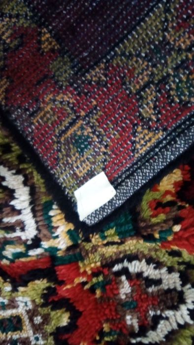 китеници - нови