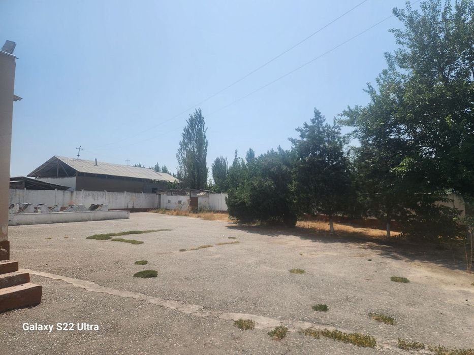 Noturar yer uchastkasi sotiladi