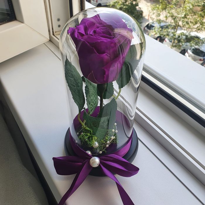 Cupola cu trandafiri conservati criogenati