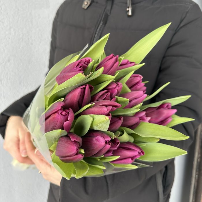 Тюльпаны Кокшетау