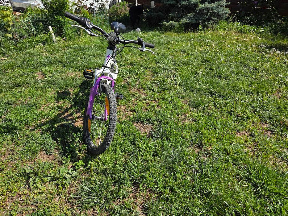 Bicicleta Specialized