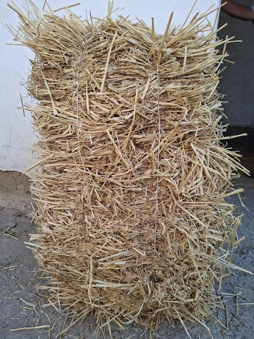 Бидай саман малга