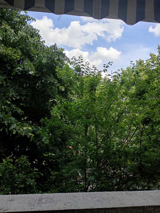 Închiriez apartament cu 2 camere, decomandat, situat la etajul 1 al unui bloc aflat în imediata apropiere a Parcului Sebastian.