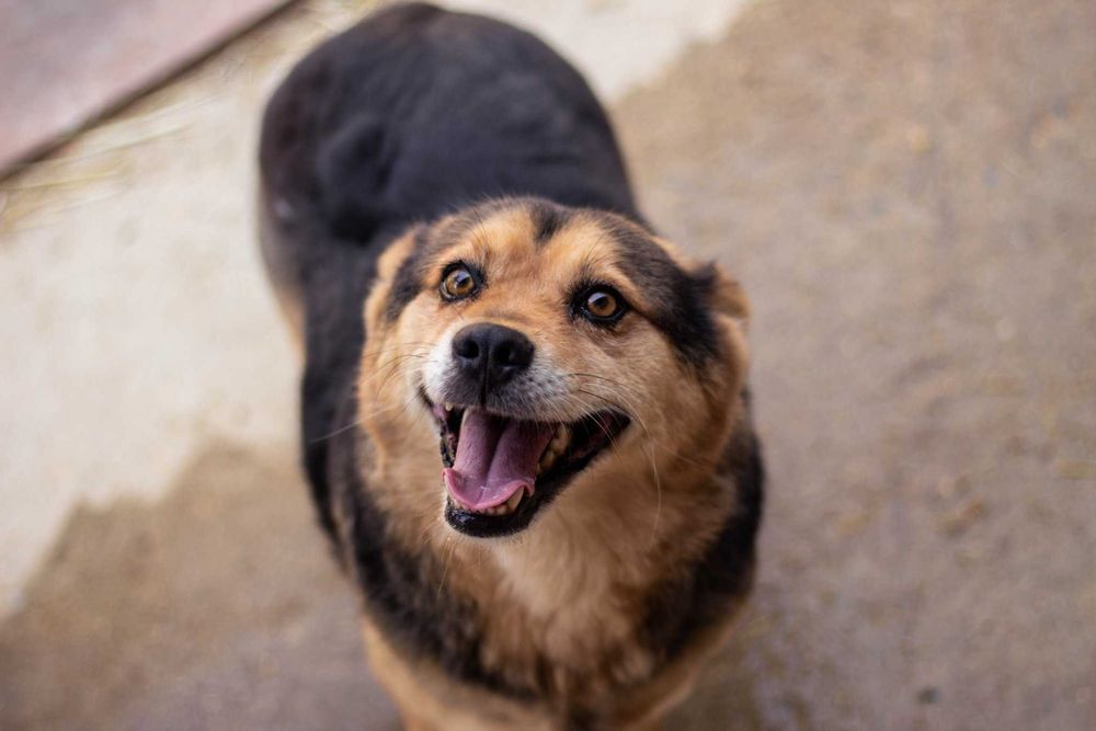 Canon EOS 700D + EF 50mm f/1.8 STM