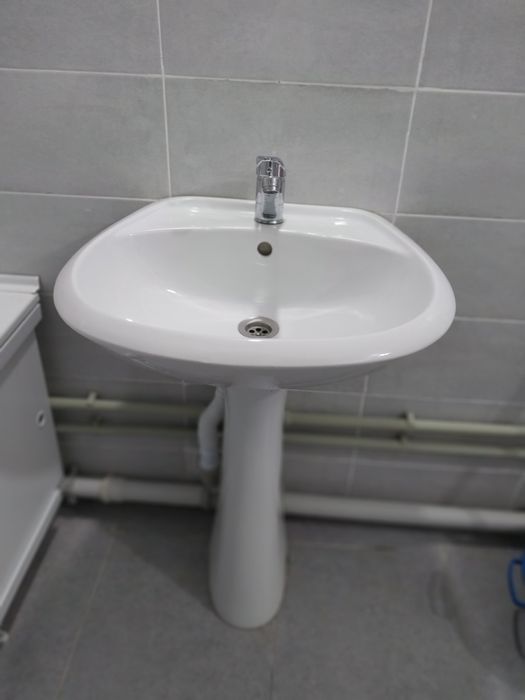 Раковина тюльпан