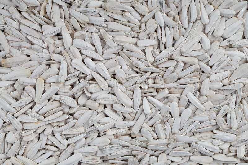 Семечки подсолнечника белые