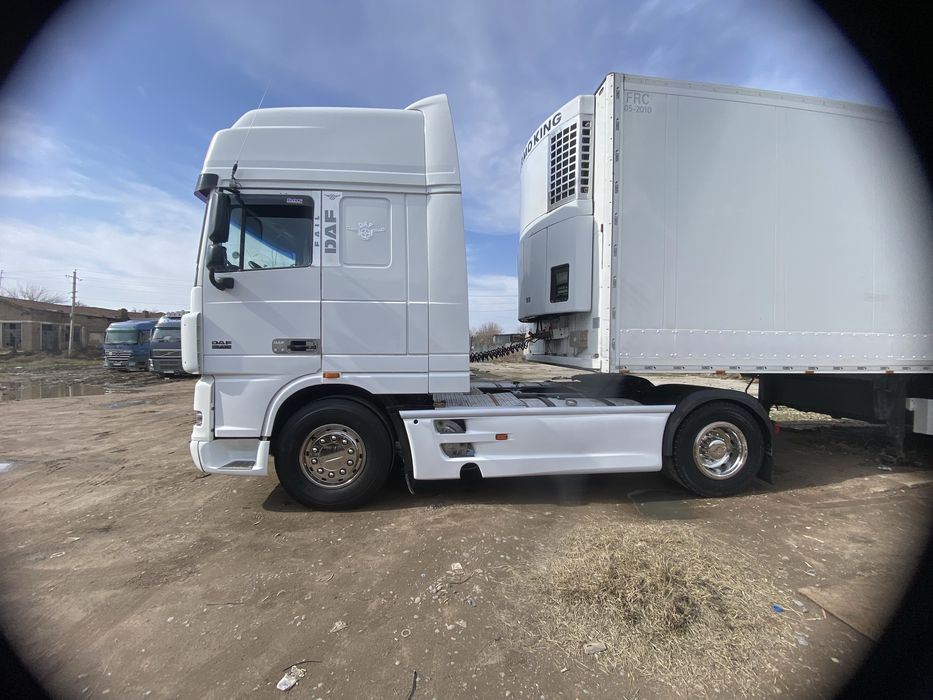 Daf 95 XF рефрежератор smitz cargobul