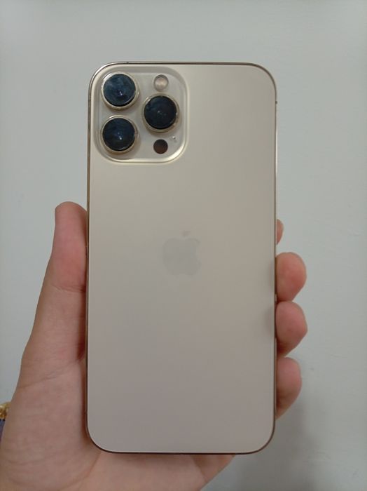 Iphone 13 pro max