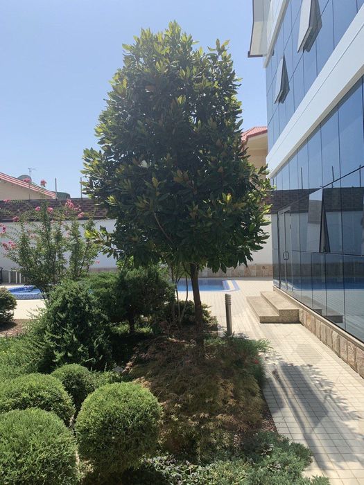 Срочно продаётся 8 ком Евро Дом