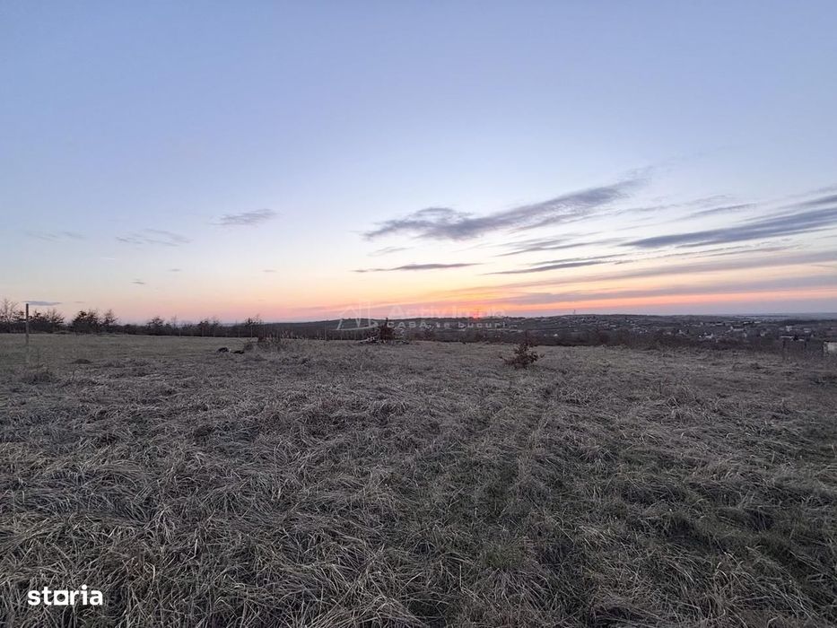 Teren Intravilan 624 mp Saldabagiu de Munte - Paleu