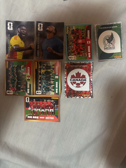 Stickere Panini world