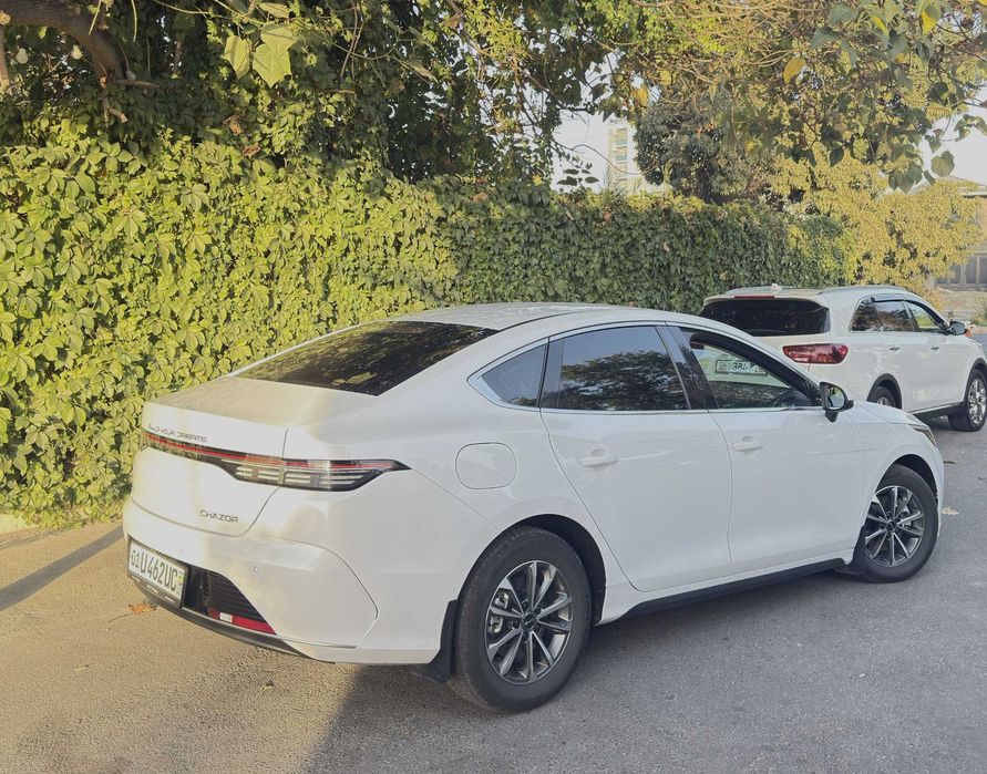 BYD Chazor 1 pozitsiya