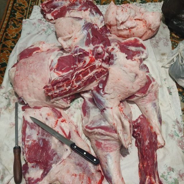 qassob xizmati halol va sifatli