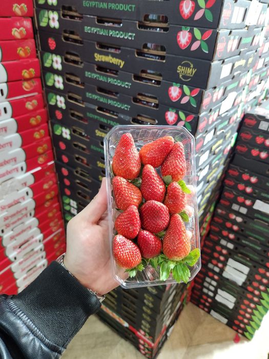 Египетская клубника