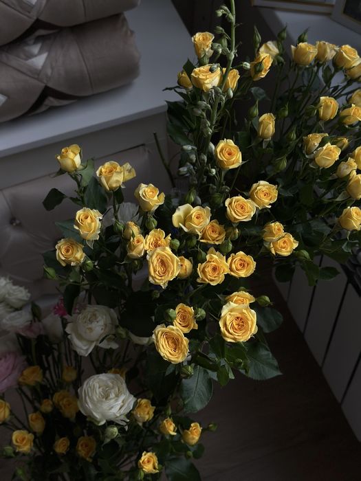 продам кустовые метровые розы