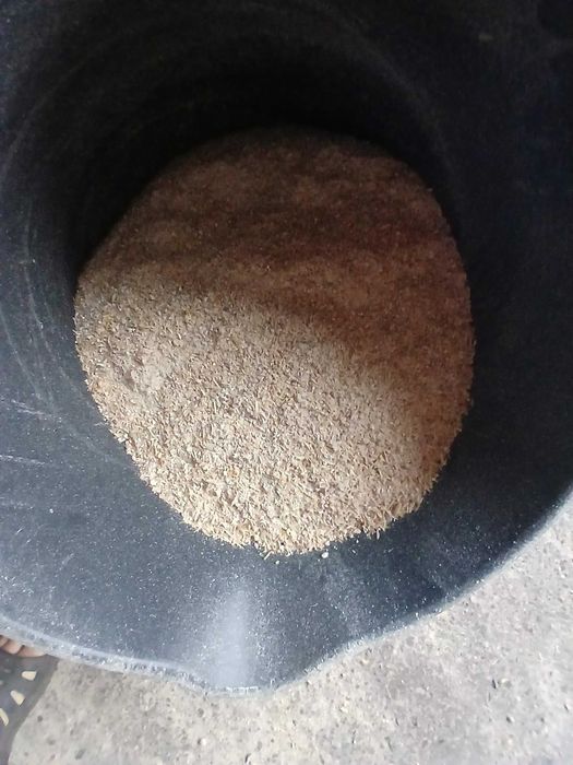 Cereale direct producator