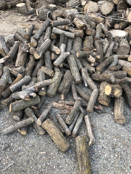 продам сухие дрова карагач