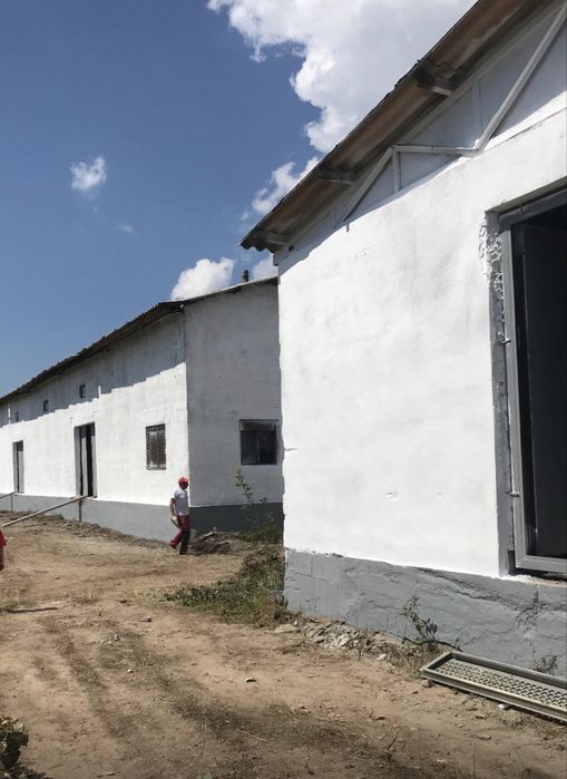 Hala industriala+magazie+teren 2716 mp