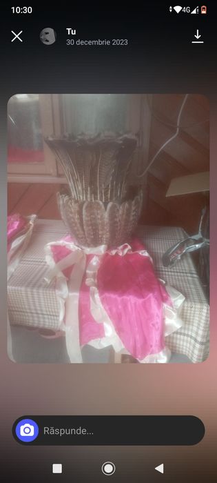 Costum Mascat Anul Nou