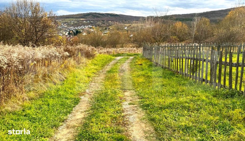 Teren extravilan de vanzare, 2400 mp, zona Valea Ghinzii