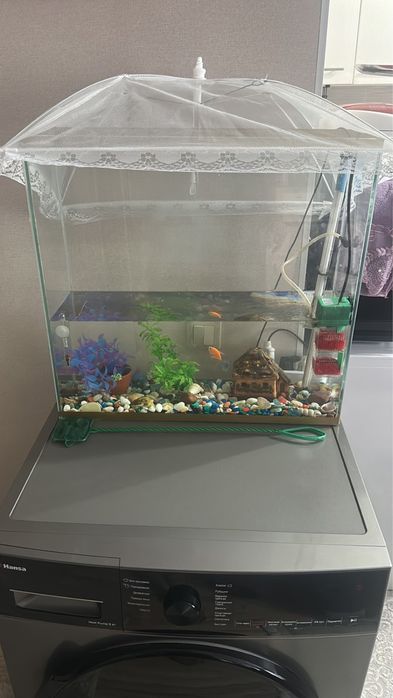 Продаем Аквариум с рыбками