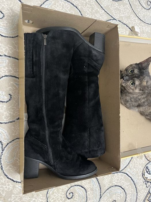 Сапоги Юничел женские