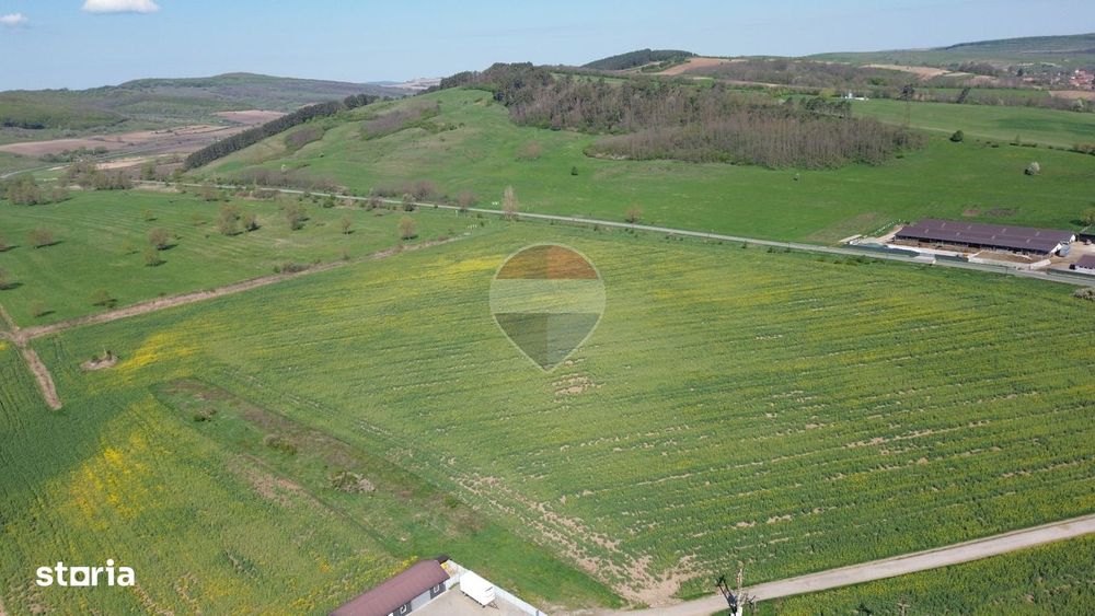 Teren de vanzare sau inchiriat 19ha intravilan, Agnita,Sibiu