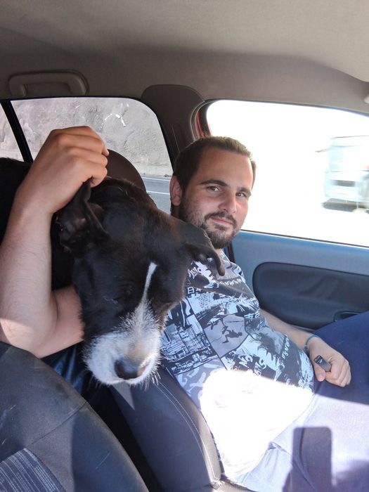 Transport animale domestice NON-STOP