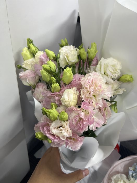 СРОЧНО!!! Продам цветы