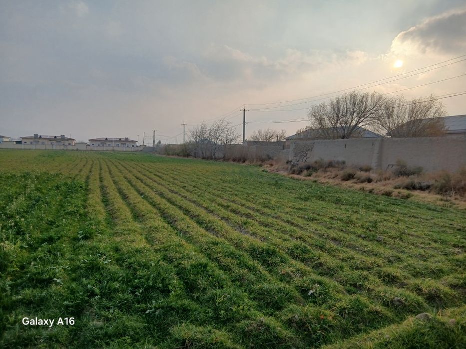 Ем хошак обори сотилади
