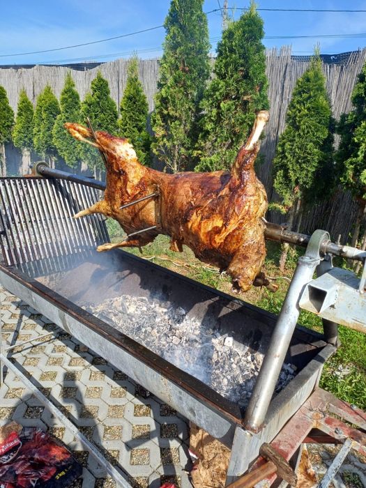 Inchiriez/pregatesc rotisor/protap