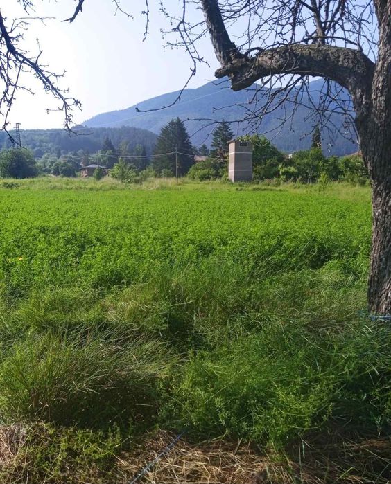 Продава поземлен имот в гр.Сапарева баня